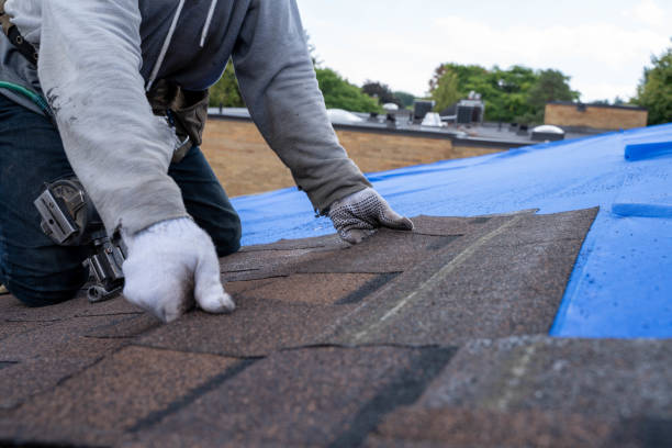 Best Local Roofing Companies  in Redgranite, WI